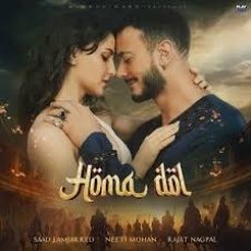 Homa Dol Homa Dol